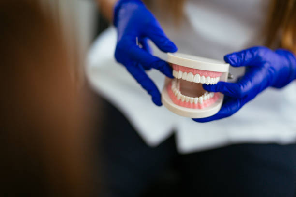 Best Preventive Dentistry  in Canfield, OH